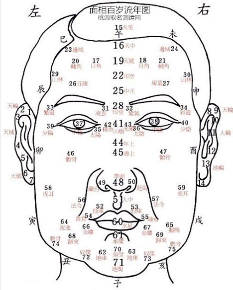 歲數面相年齡